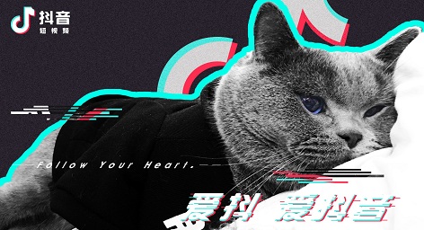 01ee9c5a55cf6fa8012113c7935a95.jpg@2o.jpg