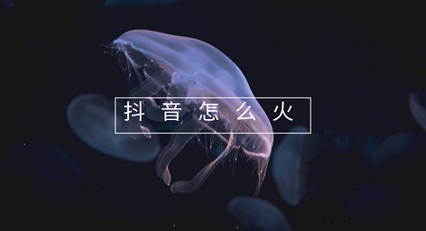 默認標題_電腦壁紙_2019.05.17.png