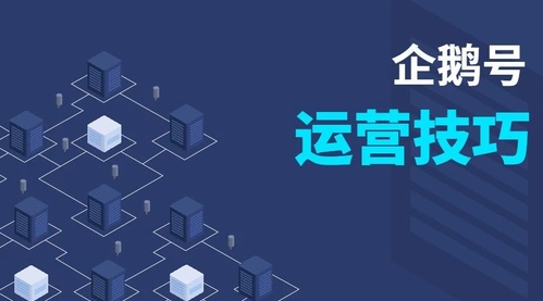 企鵝號四大引流方法