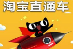 淘寶批量推廣和標(biāo)準(zhǔn)推廣哪個好,淘寶直通車推廣有效果嗎