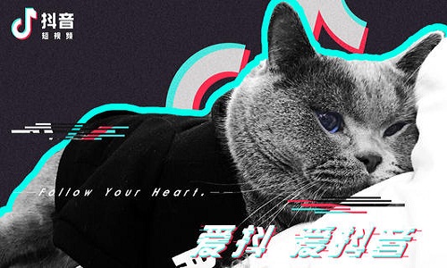 抖音推廣引流加的粉效果好嗎